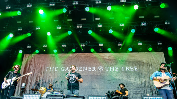 The Gardener & The Tree Seaside Festival 20192019